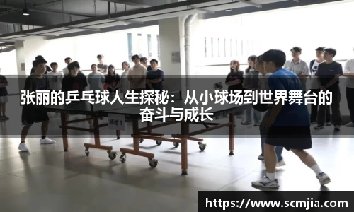 张丽的乒乓球人生探秘：从小球场到世界舞台的奋斗与成长